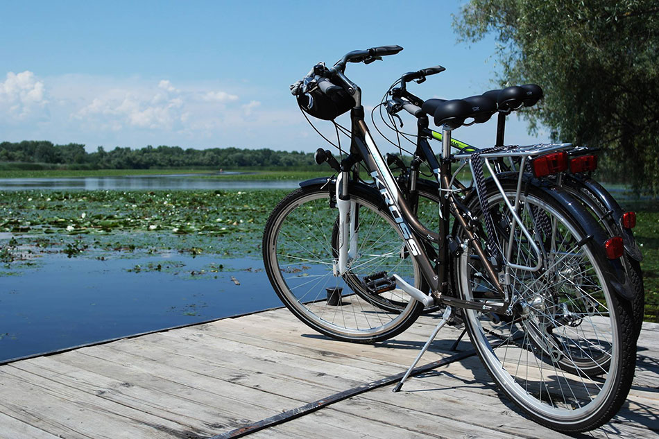 Tisza-tó: Ahol az élmények körbevesznek!