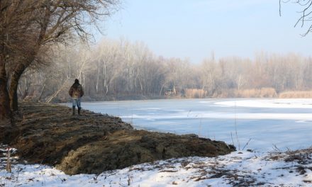 Tájékoztató a horgászrendről- Gyere a Tisza-tóra!